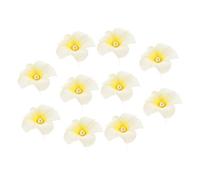 Didiseaon 50 Pcs En Forme De U Oeuf Fleur Femmes Cheveux Décor Épingle À Cheveux Femmes Accessoire De Cheveux Femmes Épingle À Cheveux Fleur Fourchette À Cheveux Femmes Coiffure En Forme De