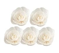 Didiseaon 5pièces Bâtonnets Diffuseurs Fleurs Aromatiques Naturel pour Diffuseur Arômes sans Flamme Décoration Intérieure Bureau Salon