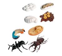 Didiseaon 8 pièces Modèle de Croissance Insecte Réaliste Cognitif Cycle de Vie Ouvrière Décoration Éducative Garçon Fille