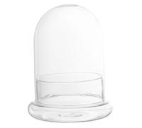 Didiseaon Ecological Glass Bottle Cloche with Dome for DIY Flower Plant Terrarium Micro Landscape Display Desktop Decoration Suitable for Home and Office