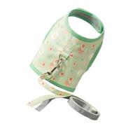 Didiseaon Harnais Veste Respirant pour Chat avec Laisse Vert, Sangle en Tissu Maille et Suède, Design Adorable, Adapté pour Chats de 3 à 7kg en Intérieur