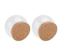 Didiseaon Lot de 2 Cloches en Verre Transparent Bouchon en Liège Diamètre 10 CM pour Figurines Fleurs Préservées et Micro-Paysages Décoratifs Accessoires Artisanaux pour Décoration