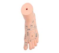 Didiseaon Modèle 19 Cm D'acupuncture Pied Pédagogique en Vinyle Beige Physiologie Affichage Clair et Design Réaliste pour Enseignement pour Étudiants