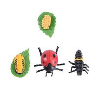 Didiseaon Modèle Animal Évolution Insecte Coccinelle Réaliste Cycle de Vie Éducatif pour Garçon Fille Garçon Fille Décoration et Pédagogique