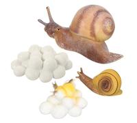 Didiseaon Modèle Escargot Cycle de Vie Réaliste Éducatif Garçon Fille Garçon Fille Apprentissage Nature