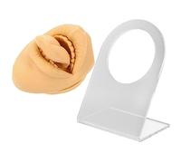 Didiseaon Modèle Silicone De Pratique De Perçage De Langue Avec Support Partie Corps Humain Pour Formation Piercing Et Affichage Simulation Réaliste Pour Écoles Et Salons