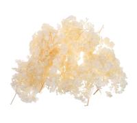 Didiseaon Pétales de Fleurs D'hortensia Séchées Beige Fleurs Préservées Solide pour Décoration de Mariage Élégante pour Bricolage et Centre de Table Maison