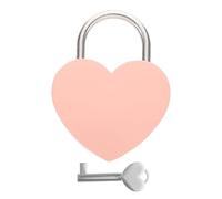 Didiseaon Petit Cadenas Cœur avec Clé Petit Cadenas Romantique pour Couples Serrure Raffinée pour Boîte à Valise et Casier avec Clé Unique pour Journal Intime et Cadeau