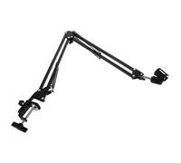 Didiseaon Pied de micro perche, bras pour microphone noir en métal, structure rotative et pliable, support portable pour speeches et recordings