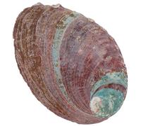 Didiseaon Porte-Parfum en Coquille D’Ormeau Brute 10-11 CM Support Multifonction pour Brûler Parfum Récipient Décoratif Naturel pour Maison et Bureau Accessoire Léger et Compact pour