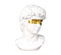 Didiseaon Sculpture David Blanc Résine Élégante Ornement de Table Décoratif Européen pour Restaurant Style Luxe Léger Statue Buste Contemporaine pour Décoration Intérieure