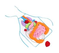 Didiseaon Tablier Éducatif Organes Humains Doux Jeu Apprentissage Montessori pour Garçon Fille Outil Pédagogique pour Comprendre Anatomie et Organes Internes