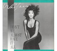 Didn't We Almost Have It All/Shock Me [Import]