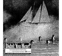 Didn't You Hear-Vinyle Argent