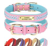 Didog Collier personnalisé en cuir pour chien avec plaque en laiton gravée Collier en cuir tressé doux rembourré personnalisé Collier réglable pour animal de compagnie pour chiens de petit moyen grand