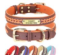 Didog Collier personnalisé en cuir pour chien avec plaque en laiton gravée Collier en cuir tressé doux rembourré personnalisé Collier réglable pour animal de compagnie pour chiens de petit moyen grand