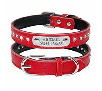 Didog Collier Rembourré en Cuir, avec Strass - pour Chiens et Chats de Petite et Moyenne Taille (Gravure Personnalisable)