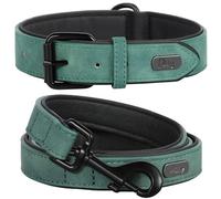 Didog Ensemble collier et laisse en cuir souple rembourré pour chien, ensemble réglable avec boucle en métal, colliers respirants pour animaux de compagnie avec laisse en PU de 1,2 m pour chiens de