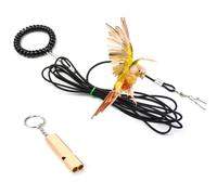 Didooou Corde élastique résistante aux morsures pour oiseaux et perroquets d'extérieur qui ne blesse pas les oiseaux (10 m/bracelet de cheville 5,5 mm)