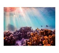 Didooou Fond (60 x 150 cm, corail rêve)