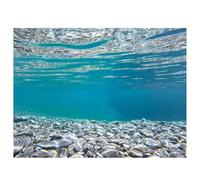 Didooou Fond d'aquarium autocollant décoration sous-marine paysage naturel pour aquarium adhésif de fond pour réservoir de poissons de corail (50 * 100 cm / 19,7 * 39,4 pouces, Pierres de fond marin)