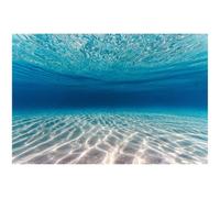 Didooou Fond d'aquarium autocollant décoration sous-marine paysage naturel pour aquarium décoration de récif marin autocollant de fond d'aquarium (30 * 50 cm / 11,8 * 19,7 pouces, Plage sous-marine)