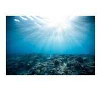 Didooou Fond d'aquarium en vinyle, fond d'habitat de reptile, fond d'aquarium 3D (180 x 60 cm, fond bleu de la mer)