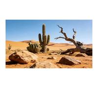 Didooou Fond d'aquarium en vinyle, fond d'habitat de reptile, fond d'aquarium 3D (60 x 30 cm, cactus du désert)