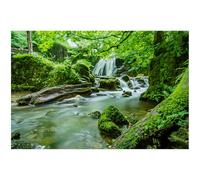 Didooou Fond d'aquarium en vinyle, fond d'habitat de reptile, fond d'aquarium 3D (80 x 40 cm, arbres verts rivière)
