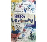 Die 19 leeren Lehren der Mesos: Ein Buch aus dem Umbraum - Farbausgabe