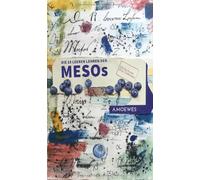 Die 19 leeren Lehren der Mesos: Ein Buch aus dem Umbraum - Schwarzweiß