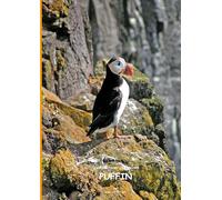 Die Abenteuer des kleinen PUFFIN