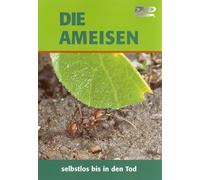 Die Ameisen - Selbstlos bis in den Tod