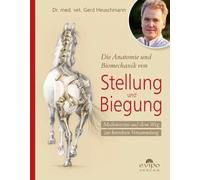 Die Anatomie und Biomechanik von Stellung und Biegung: Meilensteine auf dem Weg zur korrekten Versammlung