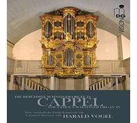 Die Berühmte Arp Schnitger-Orgel In Cappel