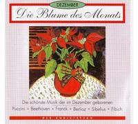 Die Blume des Monats - Dezember - Der Christstern - CD