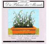 Die Blume des Monats - Februar - Das Schneegloeckchen