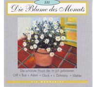 Die Blume des Monats - Juli - Die Margerite