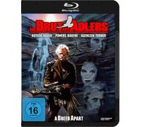 Die Brut des Adlers (Blu-ray) Hauer Rutger Boothe Powers Turner Kathleen Donald