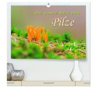 Die bunte Welt der Pilze (hochwertiger Premium Wandkalender 2026 DIN A2 quer), Kunstdruck in Hochglanz: Aufnahmen von Waldpilzen