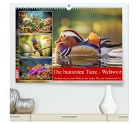Die buntesten Tiere - Weltweit (hochwertiger Premium Wandkalender 2027 DIN A2 quer), Kunstdruck in Hochglanz: Dieser Kalender nimmt dich mit auf eine farbenprächtige Reise durch die Natur.