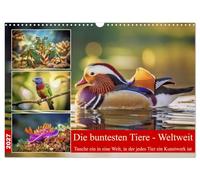 Die buntesten Tiere - Weltweit (Wandkalender 2027 DIN A3 quer), CALVENDO Monatskalender: Dieser Kalender nimmt dich mit auf eine farbenprächtige Reise durch die Natur.