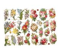 Die Cut Vintage - Compositions Florales - 2 feuilles G