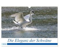 Die Eleganz der Schwäne (Wandkalender 2026 DIN A3 quer), CALVENDO Monatskalender: Schwäne, elegante und beeindruckende Entenvögel.