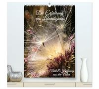 Die Erfahrung des Lebendigseins (hochwertiger Premium Wandkalender 2026 DIN A2 hoch), Kunstdruck in Hochglanz: Hinreißende Naturmakros mit positiven Botschaften