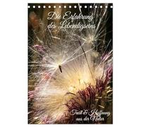 Die Erfahrung des Lebendigseins (Tischkalender 2026 DIN A5 hoch), CALVENDO Monatskalender: Hinreißende Naturmakros mit positiven Botschaften