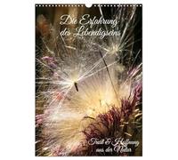 Die Erfahrung des Lebendigseins (Wandkalender 2026 DIN A3 hoch), CALVENDO Monatskalender