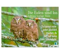 Die Eulen sind los: Edition lustige Tiere (Wandkalender 2026 DIN A2 quer), CALVENDO Monatskalender: Spaß mit Eule, Uhu und Kauz und mit flotten Sprüchen und viel Humor
