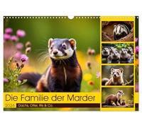 Die Familie der Marder (Wandkalender 2026 DIN A3 quer), CALVENDO Monatskalender: Dachs, Otter, Iltis & Co.