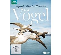 Die fantastische Reise der Vögel (DVD) David Tennant Stuart Napier John Downer